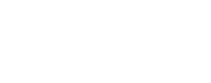 Alterna Asansör
